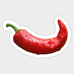 Image: Chili pepper (curved) Sticker